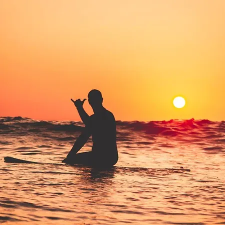 Vandrerhjem Kali Vice Surf *