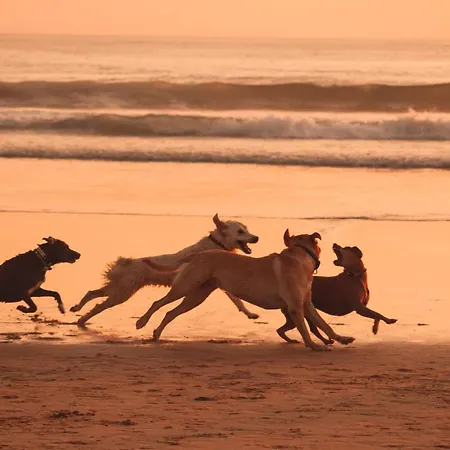 Hostal Kali Vice Surf *