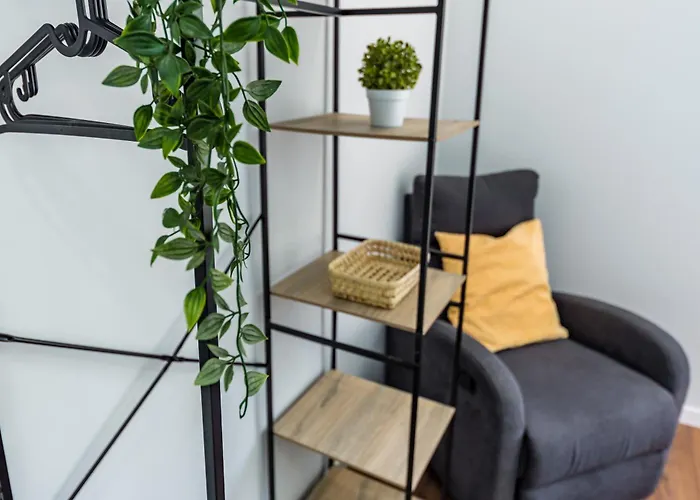 Hostel Kali Vice Surf *