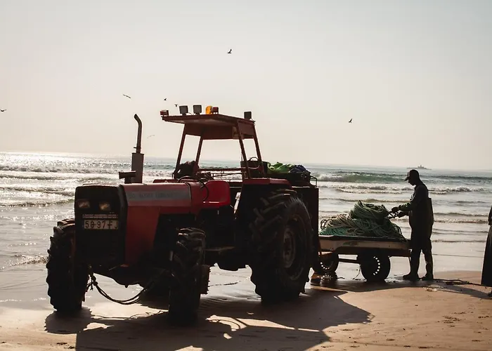 אכסניה Kali Vice Surf