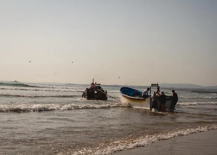 Kali Vice Surf Hostel