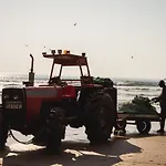 Hostel Kali Vice Surf
