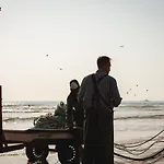 Kali Vice Surf *