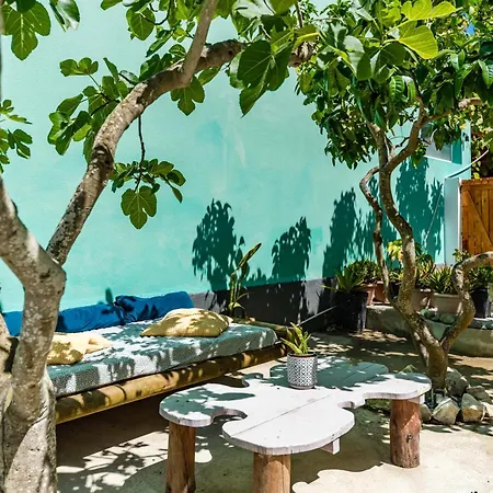 Kali Vice Surf 코스타 다 카파리카