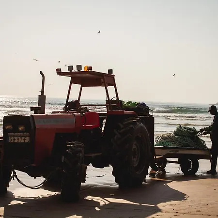 호스텔 Kali Vice Surf