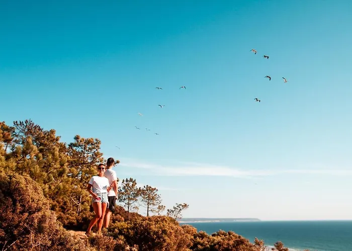 Kali Vice Surf 旅馆